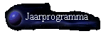 Jaarprogramma